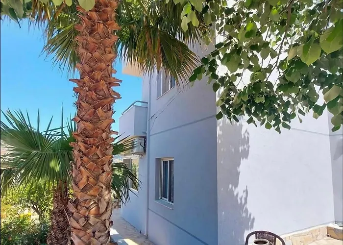 Dema 게스트하우스